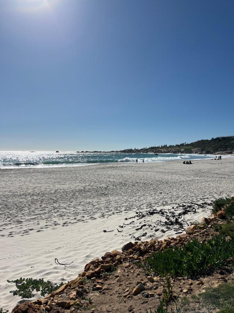 A sunny beach scene with gentle waves, golden sand, and people walking along the shore. In the foreground, there are rocks and green plants beside the sand.
